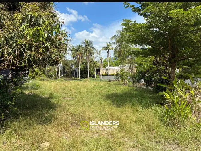 Изыскемая аренда земли в сердце Кох Пхангана