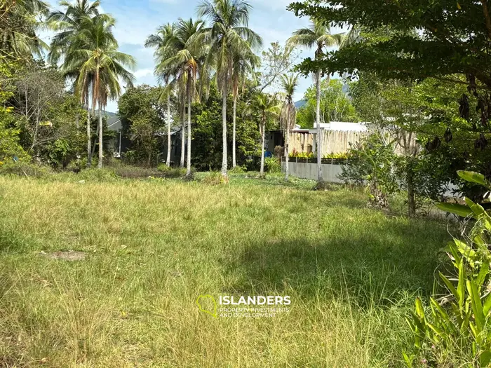 Изыскемая аренда земли в сердце Кох Пхангана