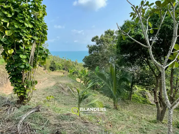 Stunning Sea View Land for Lease in Koh Phangan