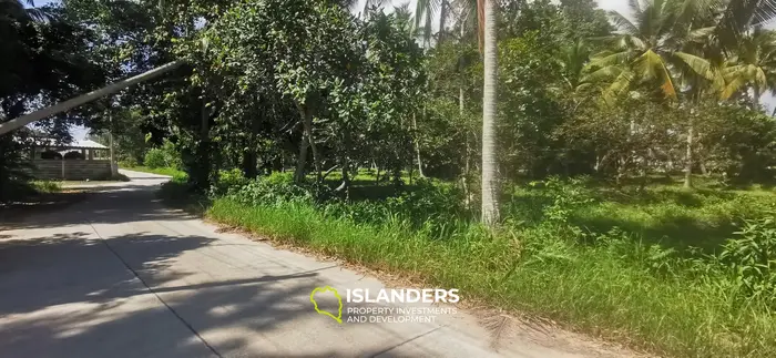 Two Flat Land Plots in a Central & Peaceful Location