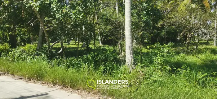 Two Flat Land Plots in a Central & Peaceful Location