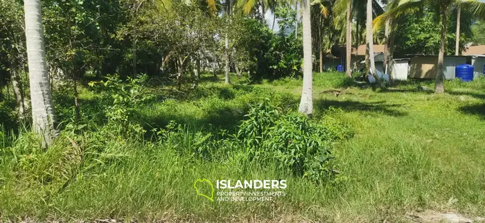 Two Flat Land Plots in a Central & Peaceful Location