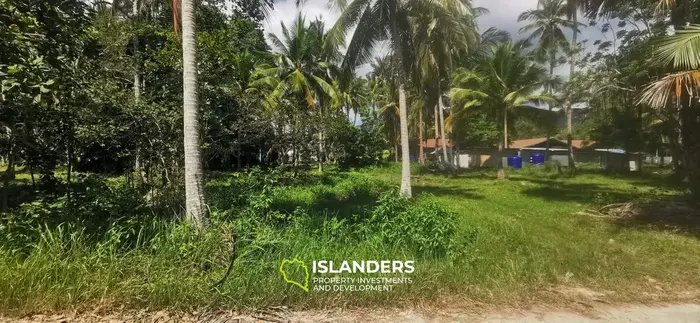 Two Flat Land Plots in a Central & Peaceful Location