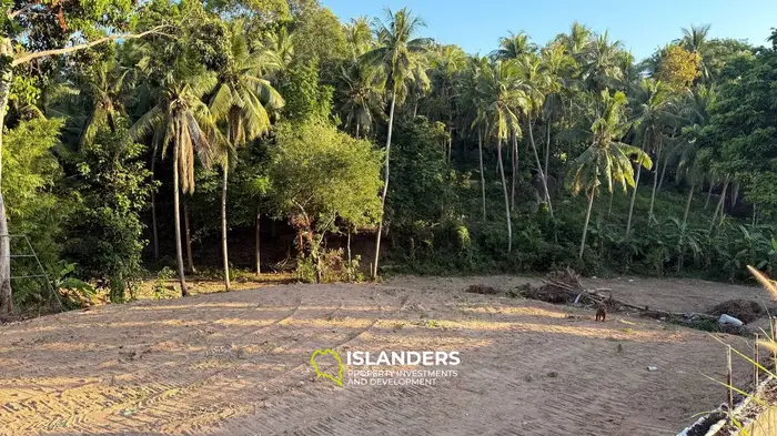 Land 3 Rai for Sale on Koh Phangan — Walking Distance to the Sea