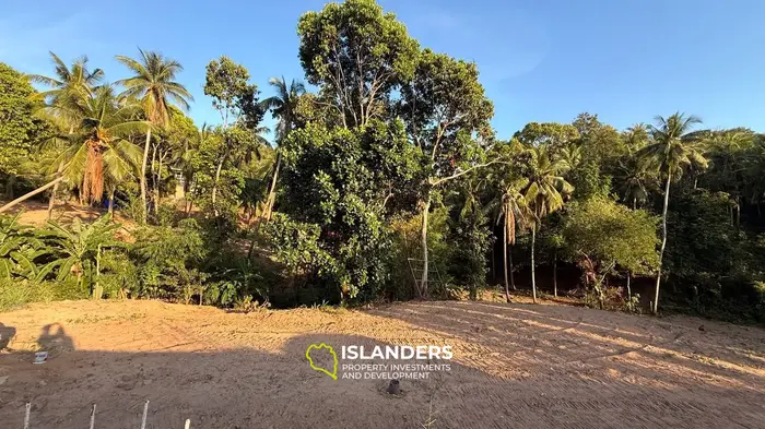 Land 3 Rai for Sale on Koh Phangan — Walking Distance to the Sea