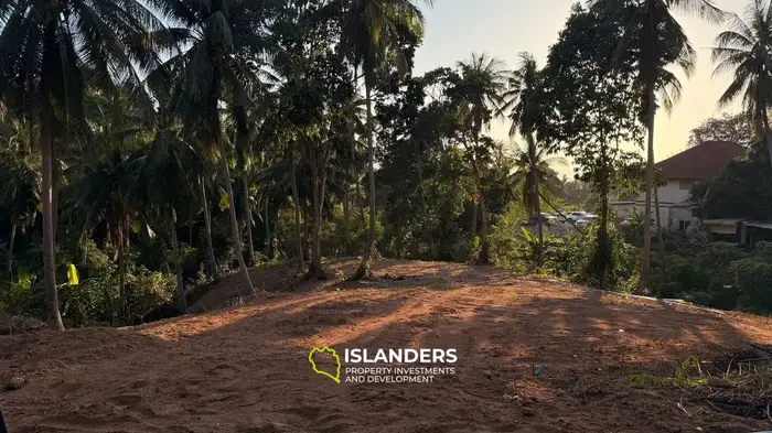 Land 4 Rai for Sale on Koh Phangan — Walking Distance to the Sea 