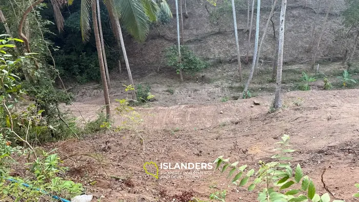 Land 4 Rai for Sale on Koh Phangan — Walking Distance to the Sea 