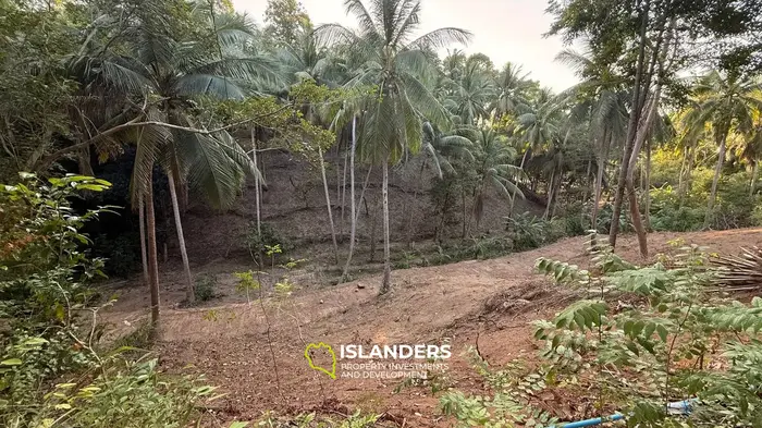 Land 4 Rai for Sale on Koh Phangan — Walking Distance to the Sea 