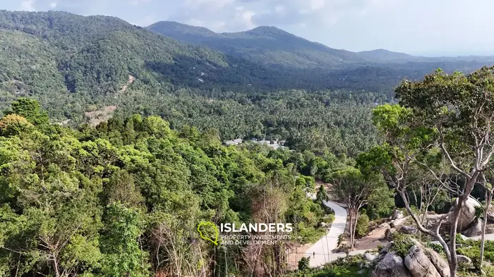 🌴 Premium Sea View Land for Sale on Koh Phangan 🌊