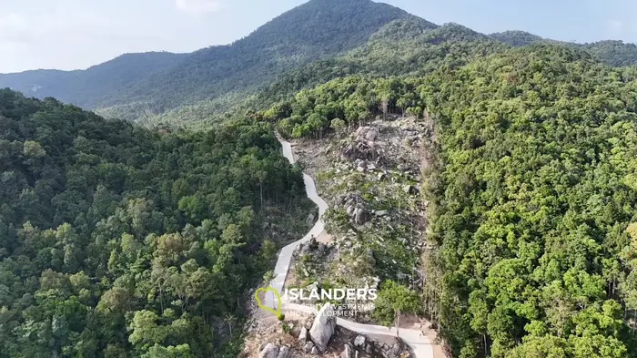 🌴 Premium Sea View Land for Sale on Koh Phangan 🌊