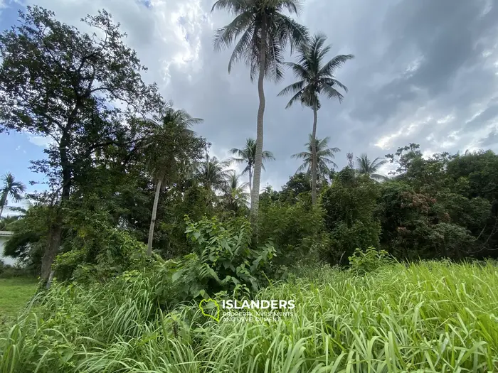 Prime Flat Land for Sale in the Heart of Thong Sala