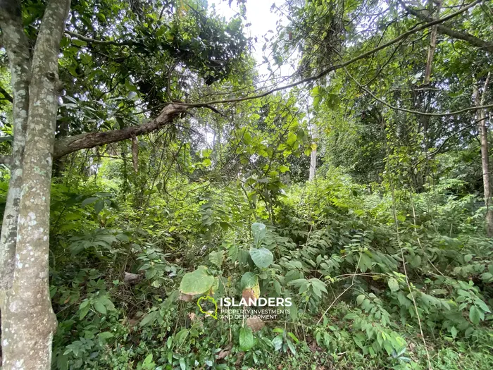 Prime Flat Land for Sale in the Heart of Thong Sala