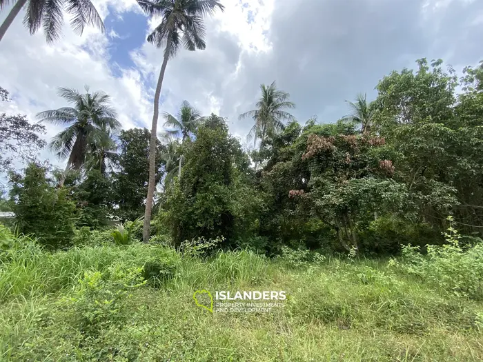 Prime Flat Land for Sale in the Heart of Thong Sala