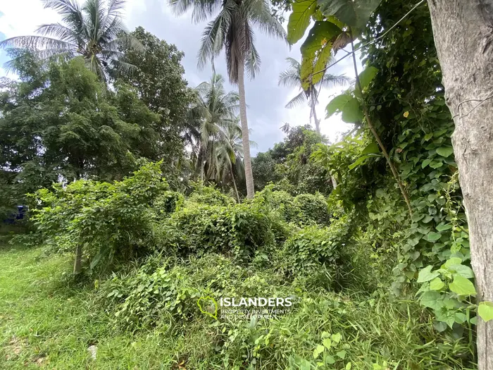 Prime Flat Land for Sale in the Heart of Thong Sala