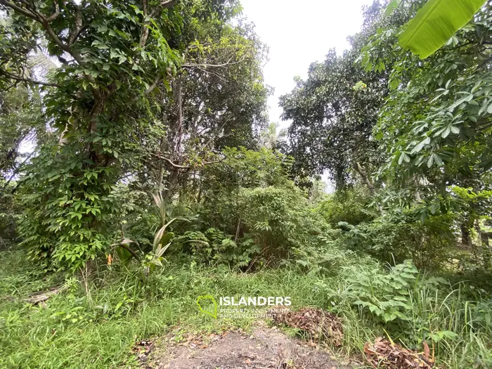 Prime Flat Land for Sale in the Heart of Thong Sala