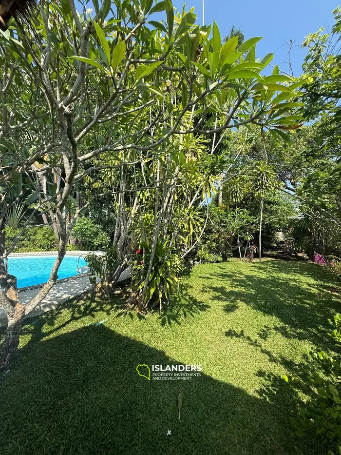 Strandvilla mit 4 Schlafzimmern und einem Büro in einer ruhigen Gegend (Lamai)