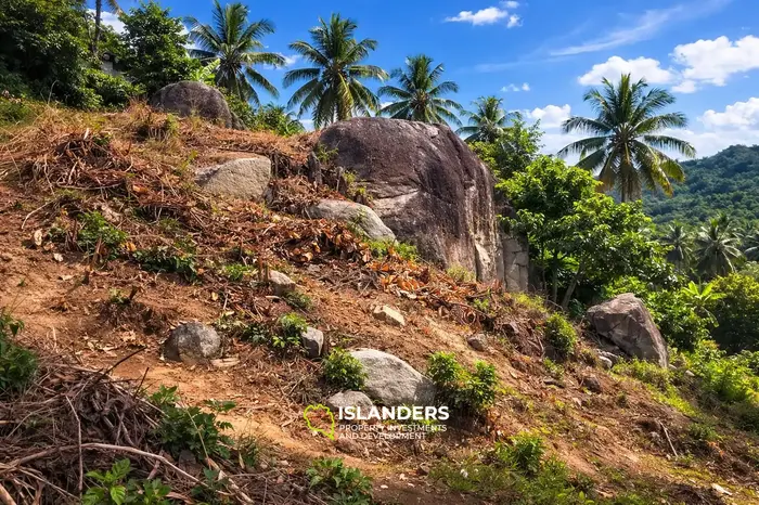 STUNNING SEA VIEW LAND FOR SALE IN THONG NAI PAN 🌅