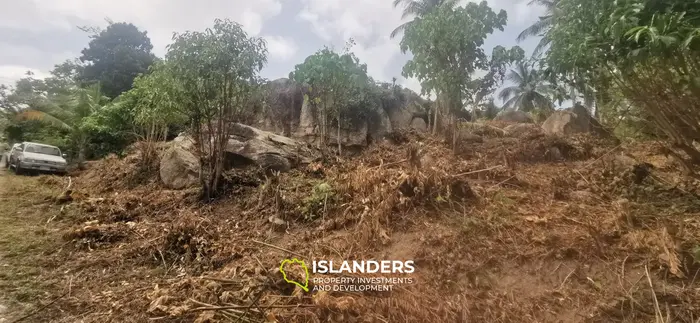 STUNNING SEA VIEW LAND FOR SALE IN THONG NAI PAN 🌅