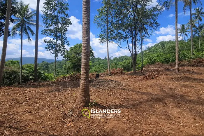 Stunning View Land in Thong Nai Pan