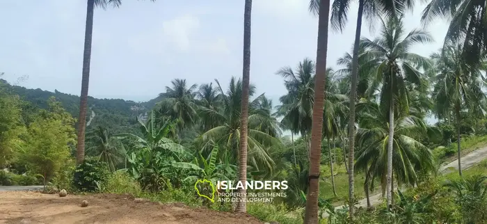 Stunning View Land in Thong Nai Pan
