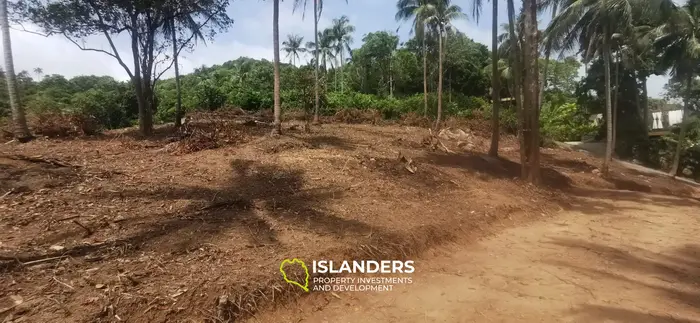 Stunning View Land in Thong Nai Pan