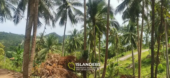 Stunning View Land in Thong Nai Pan