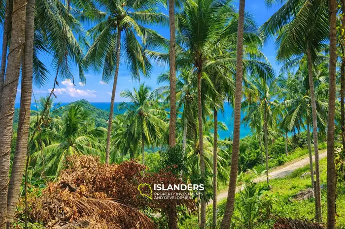 Stunning View Land in Thong Nai Pan