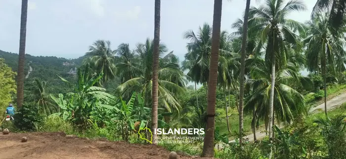 Stunning View Land in Thong Nai Pan