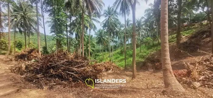 Stunning View Land in Thong Nai Pan