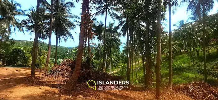 Stunning View Land in Thong Nai Pan