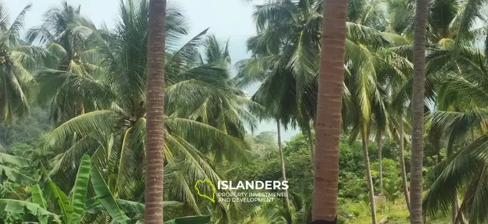 Stunning View Land in Thong Nai Pan