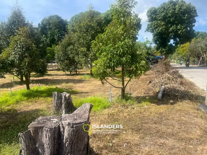 שכירות קרקע בלעדית בקו פנגאן המהממת