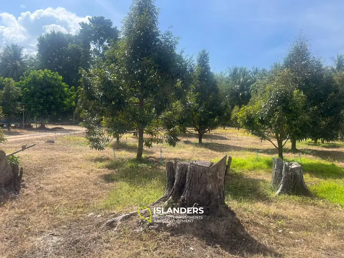 विशिष्ट भूमि पट्टा शानदार कोह फंगन में