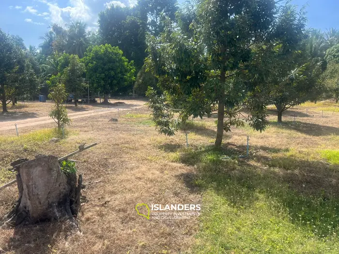 विशिष्ट भूमि पट्टा शानदार कोह फंगन में