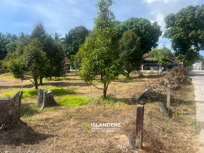 विशिष्ट भूमि पट्टा शानदार कोह फंगन में