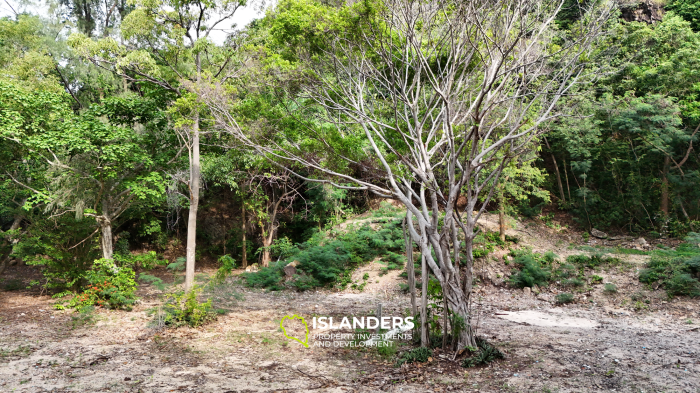 Prime Beachfront Parcel – Mae Haad