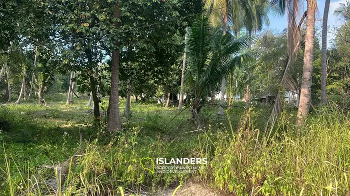 वोक टुम, कोह फंगन में लीज के लिए विशेष जंगल दृश्य भूमि