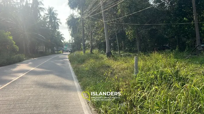 אדמת נוף ג'ונגל בלעדית להשכרה בווק טום, קו פנגאן