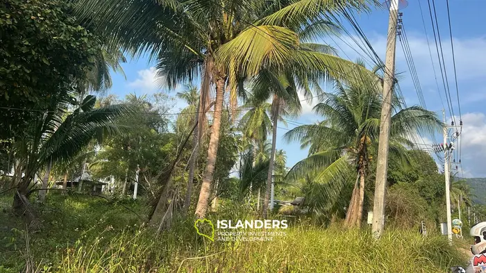 वोक टुम, कोह फंगन में लीज के लिए विशेष जंगल दृश्य भूमि