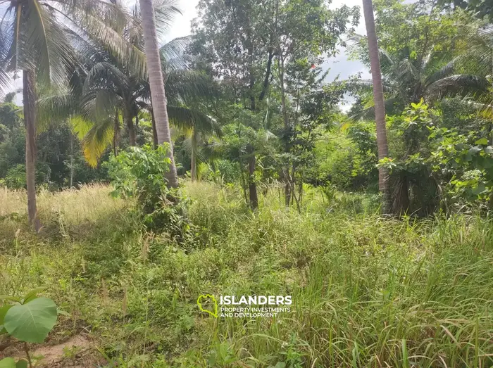 Exquisite Land for Sale in Koh Phangan with Stunning Mountain Views