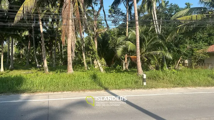 Exquisite Jungle View Land for Lease in Koh Phangan