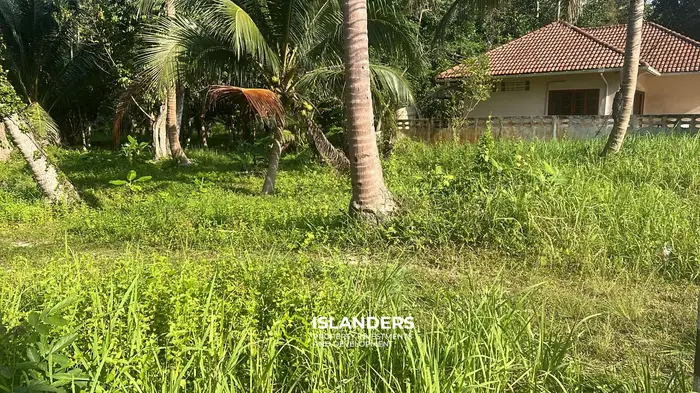 Exquisite Jungle View Land for Lease in Koh Phangan