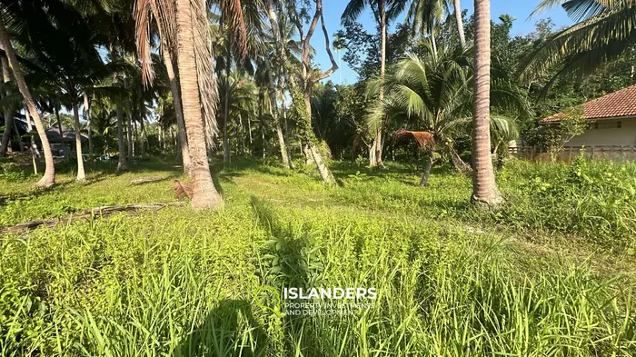 Exquisite Jungle View Land for Lease in Koh Phangan