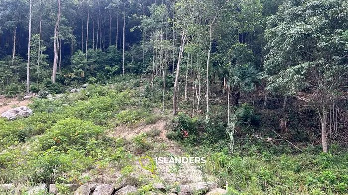 Stunning Mountain View Land for Lease in Chaloklum, Koh Phangan