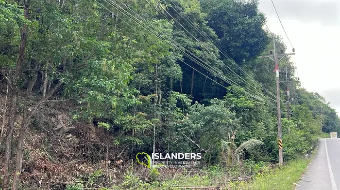 Stunning Mountain View Land for Lease in Chaloklum, Koh Phangan