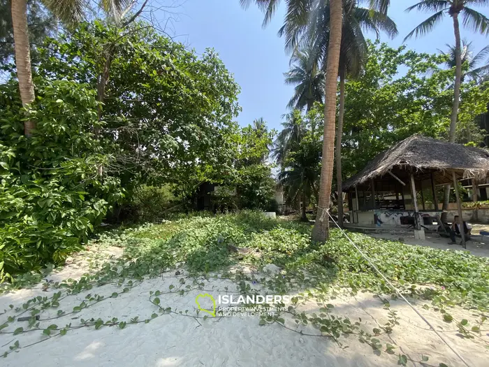 Beachfront Land with Existing Buildings in Srithanu — 2 Rai 62.7 Wah