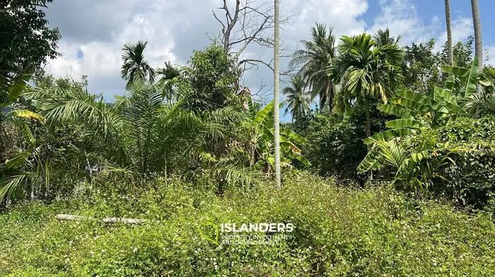Exquisite Jungle View Land for Lease in Koh Phangan