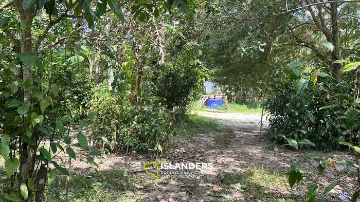 Exquisite Jungle View Land for Lease in Koh Phangan