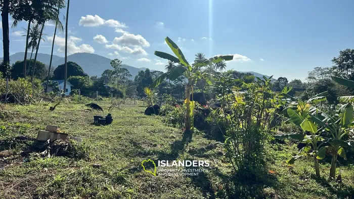 Stunning Jungle View Land for Lease in Thongsala, Koh Phangan