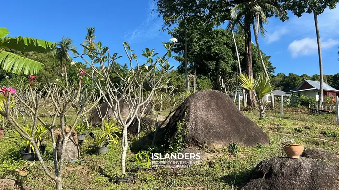 Stunning Jungle View Land for Lease in Thongsala, Koh Phangan